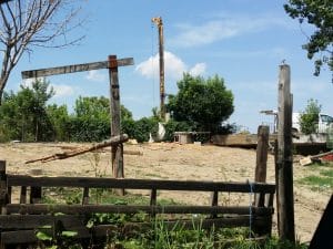 Malul lacului Plumbuita, Bucuresti