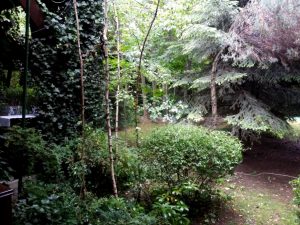 Mc Monis, un restaurant child-friendly