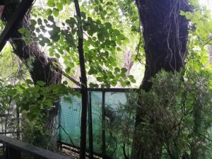 Mc Monis, restaurant pentru nunti si evenimente in Bucuresti