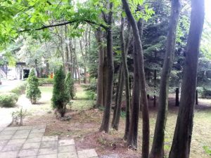 Mc Monis, restaurant pentru nunti si evenimente in Bucuresti