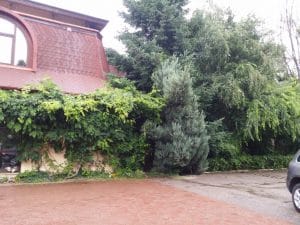 Mc Monis, restaurant pentru nunti si evenimente in Bucuresti