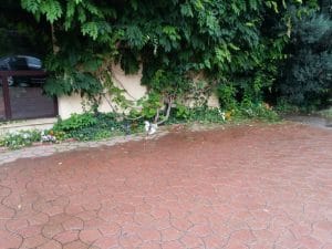 Mc Monis, restaurant pentru nunti si evenimente in Bucuresti