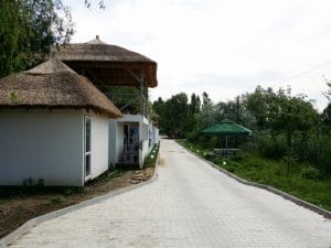 Metafish, restaurant pescaresc grecesc in Complex Jardin, lacul Plumbuita