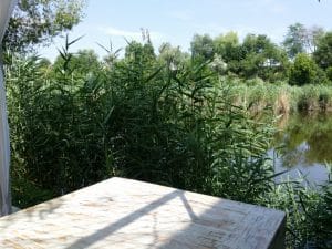 Metafish, restaurant pescaresc grecesc in Complex Jardin, lacul Plumbuita