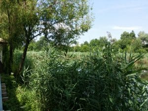 Metafish, restaurant pescaresc grecesc in Complex Jardin, lacul Plumbuita