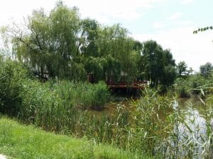 Metafish, restaurant pescaresc grecesc in Complex Jardin, lacul Plumbuita