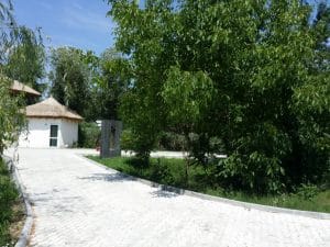 Metafish, restaurant pescaresc grecesc in Complex Jardin, lacul Plumbuita