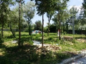 Metafish, restaurant pescaresc grecesc in Complex Jardin, lacul Plumbuita