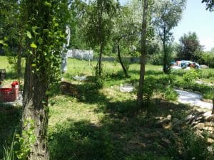 Metafish, restaurant pescaresc grecesc in Complex Jardin, lacul Plumbuita