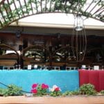 Nuba Herastrau, terasa de vara si club in Parcul Herastrau