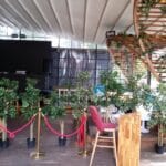 Nuba Herastrau, terasa de vara si club in Parcul Herastrau