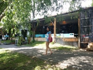 Nuba, terasa in Parcul Herastrau