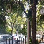 Pata Negra, restaurant cu bucatarie clasica spaniola in Bucuresti