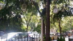 Pata Negra, restaurant cu bucatarie clasica spaniola in Bucuresti