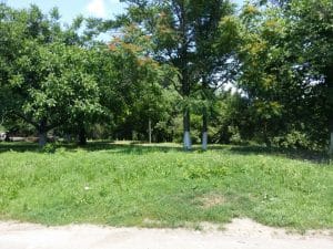 Quantic Club, pub si club in Grozavesti