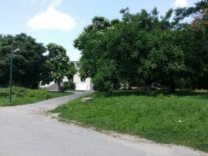 Quantic Club, pub si club in Grozavesti