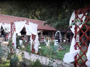 Restaurant Safari - Chisinau