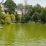 Restaurantul Monte Carlo de pe lacul din Parcul Cismigiu