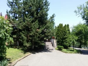 Riviera, restaurant international in Parcul National