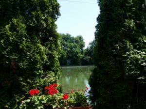 Riviera, restaurant international in Parcul National