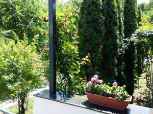Riviera, restaurant international in Parcul National