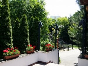 Riviera, restaurant international in Parcul National