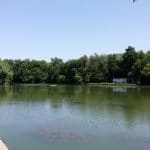 Riviera, restaurant international in Parcul National