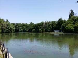 Riviera, restaurant international in Parcul National