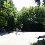 Riviera, restaurant international in Parcul National