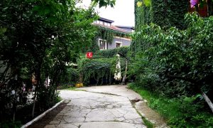 Serendipity, ceainarie si cafea boema in Bucuresti