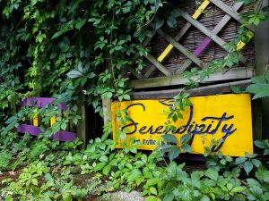 Serendipity, ceainarie si cafea boema in Bucuresti