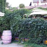 Serendipity, ceainarie si cafenea boema la Parcul Ioanid, pe Dumbrava Rosie