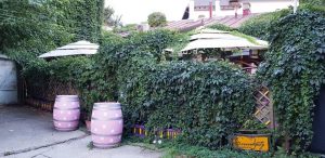 Serendipity, ceainarie si cafenea boema la Parcul Ioanid, pe Dumbrava Rosie