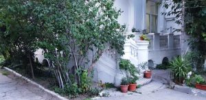 Serendipity, ceainarie si cafenea boema la Parcul Ioanid, pe Dumbrava Rosie