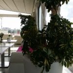 SkyBar Dorobanti, rooftop restaurant in Calea Dorobantilor din Bucuresti