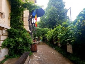 Verona, gradina si cafenea in Bucuresti