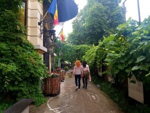 Verona, gradina si cafenea in Bucuresti