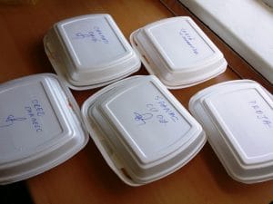 Victor, ospatarul de la Taverna Sarbului