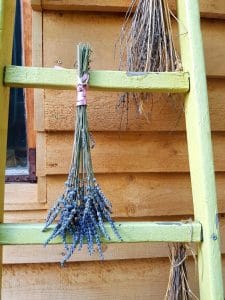 Acuarela, local boem pe strada Polona din Bucuresti