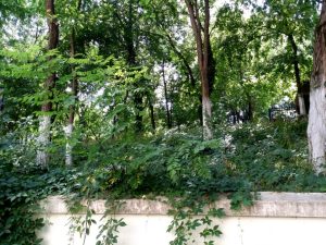 Aida Bistro, restaurant cu terasa la Palatul Bragadiru