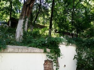 Aida Bistro, restaurant cu terasa la Palatul Bragadiru