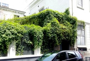 Alt Shift, restaurant boem cu bucatarie urbana