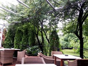 Ambiance Cafe, parcul Floreasca Bucuresti