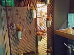 Animaletto, pizza bar pe Visarion in Bucuresti