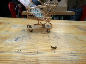 Animalutz la Animaletto Pizza Bar