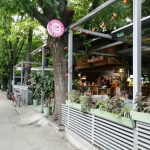 Baraka, terasa boema de hipsteri si skateri in parcul Herastrau din Bucuresti