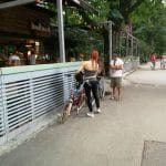 Baraka, terasa boema de hipsteri si skateri in parcul Herastrau din Bucuresti