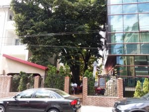 Bolta Rece, restaurant in Aviatorilor, Bucuresti