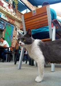 Club Fabrica, local boem pe strada 11 Iunie, langa parcul Carol