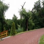 Club Floreasca, restaurant si terasa pe Lacul Floreasca